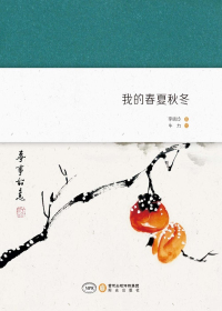 我的春夏秋冬