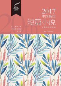 2017中国最佳短篇小说