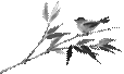 http://statics.xiumi.us/stc/images/templates-assets/tpl-paper/image/b518b29bdac372fbe3df6950b62c4d74-sz_12024.png